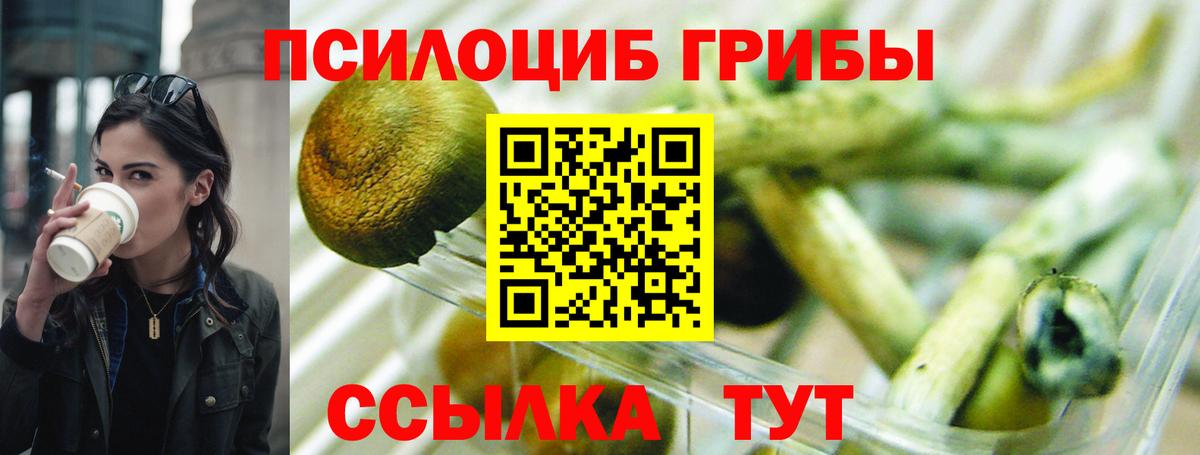 Галлюциногенные грибы мицелий Сокол